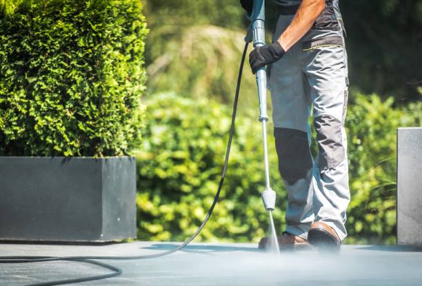 Pre-Holiday Cleaning in Naranja, FL